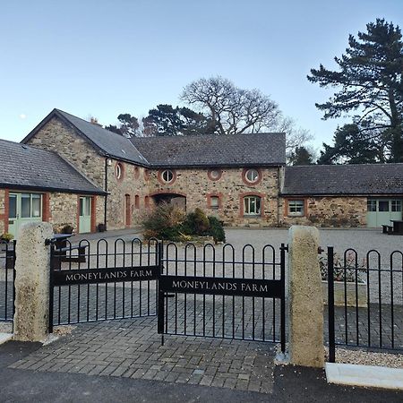 Villa The View At Moneylands à Arklow Extérieur photo